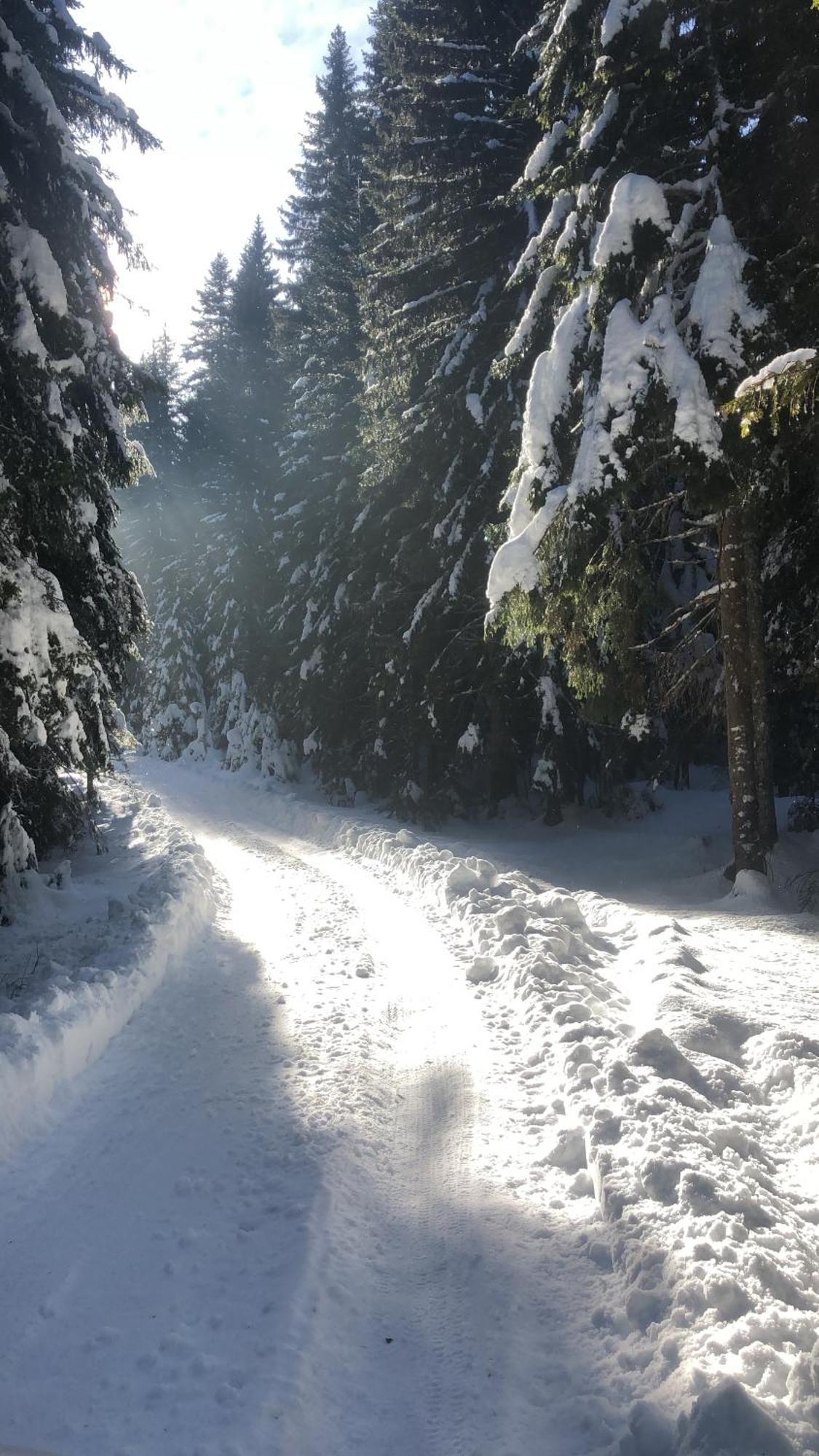 Chalet Kovacevic Žabljak Zewnętrze zdjęcie