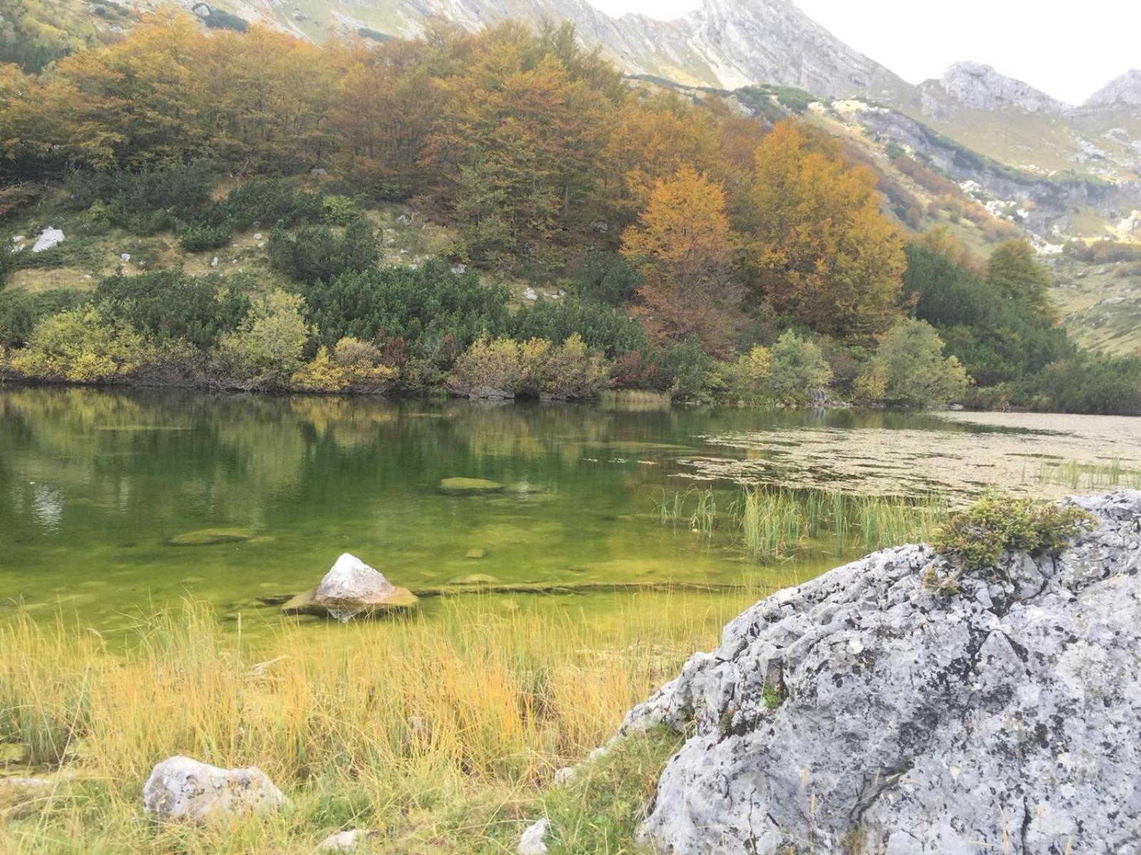 Chalet Kovacevic Žabljak Zewnętrze zdjęcie