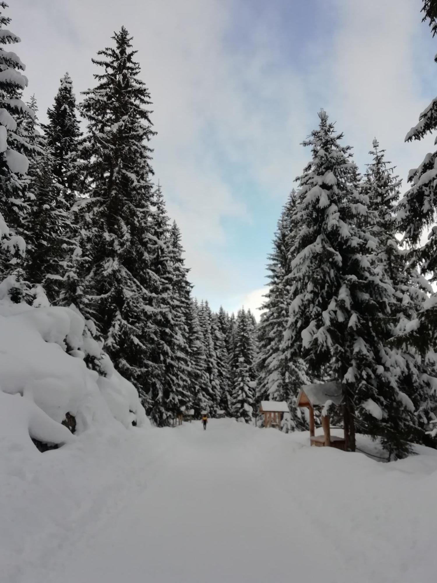 Chalet Kovacevic Žabljak Zewnętrze zdjęcie